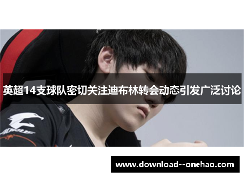 英超14支球队密切关注迪布林转会动态引发广泛讨论