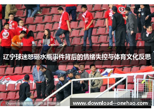 辽宁球迷怒砸水瓶事件背后的情绪失控与体育文化反思