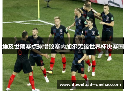 埃及世预赛点球惜败塞内加尔无缘世界杯决赛圈